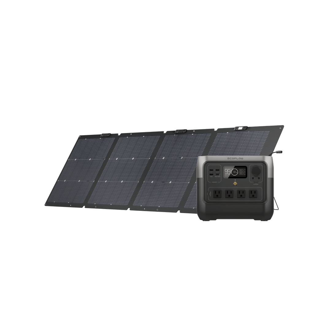 EcoFlow RIVER 2 Pro + 1*110W Portable Solar Panel