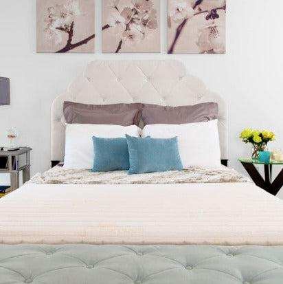 Transfer Master New Valiant Adjustable Hospital Bed